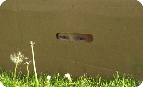 peeking