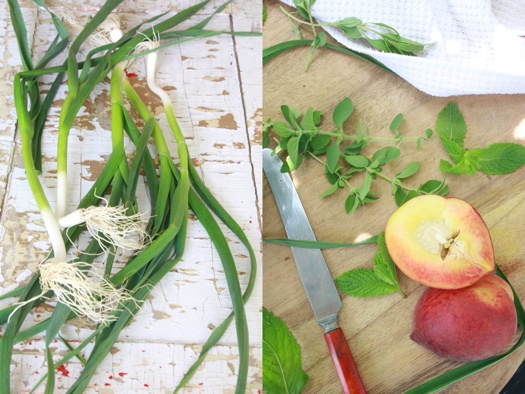 Garlic Scapes and Peaches