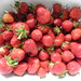 051411strawberries
