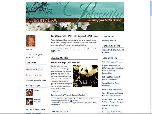 Pandarazzi featured today on the Peternity blog!!!