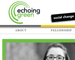 Echoing Green Web Site