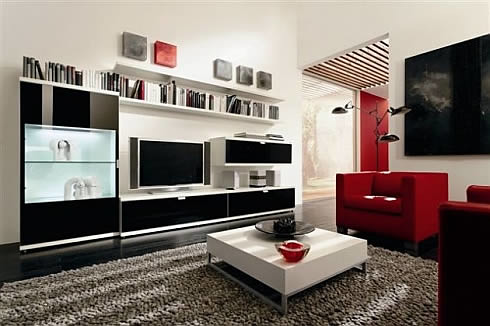 Luxury living room furniture interior