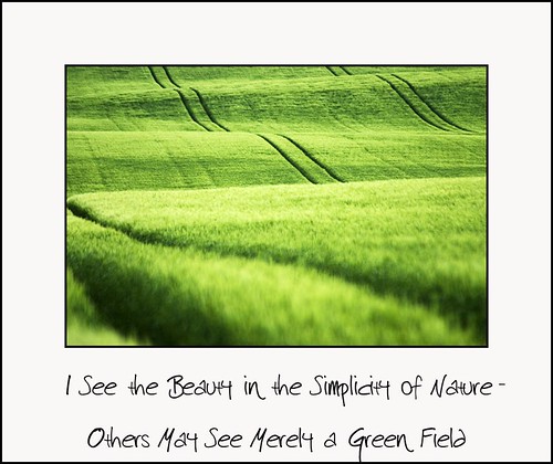 I See the Beauty in the Simplicity of Nature - Others May See Merely a Green Field