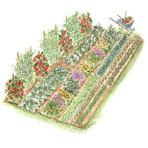 ss_vegetable_garden