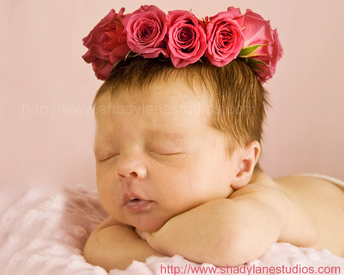 Newborn with Rose Headpiece