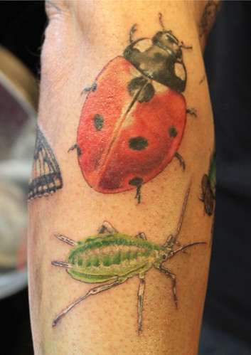  bugs tattoo by Mirek vel Stotker (work in progress)