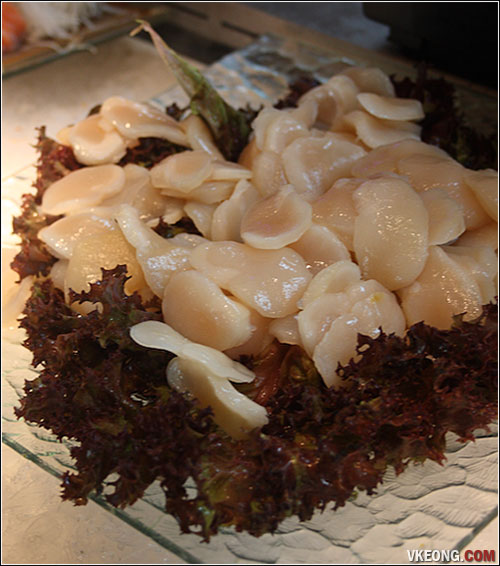 scallop-sashimi