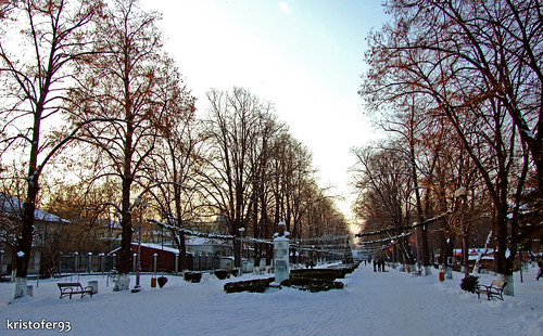Parcul Cancicov Bacau in Iarna 2008 - 2009
