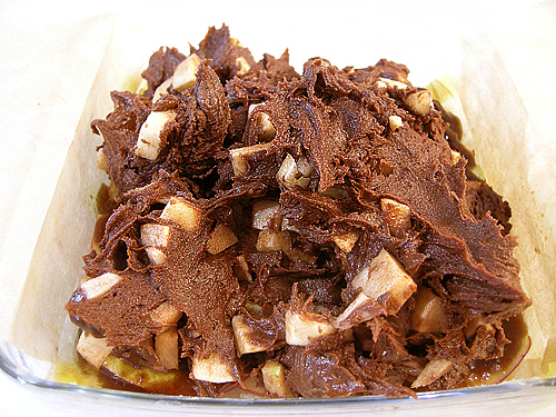 Brownies a la tarte tatin (翻轉蘋果塔式布朗尼)-090408