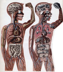 The body works like a machine by Sandra Eterovic
