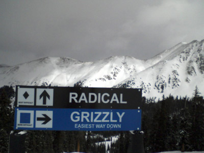 radical grizzly