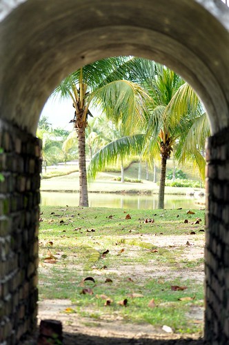 Passage Into Coconut World