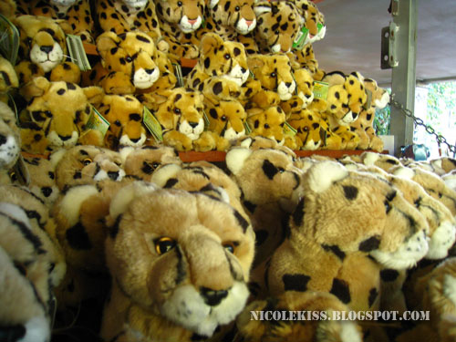 mountain of tiger cuddlies