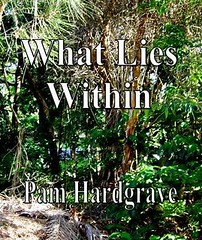 what lies cover
