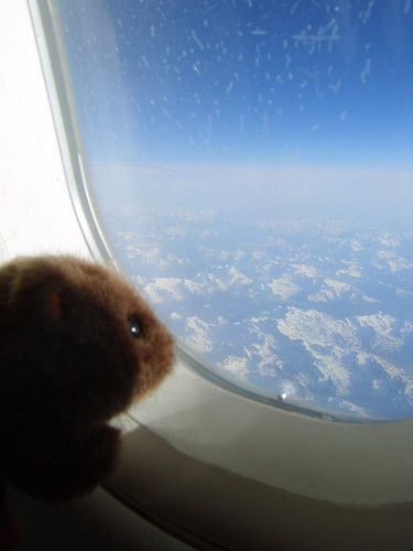 The Wombat in flight