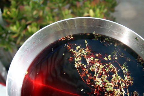 Pomegranate juice and thyme