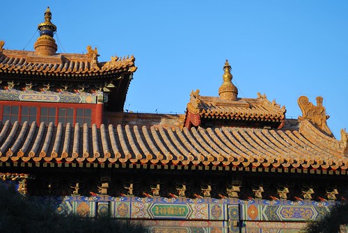 Lama Temple (5)