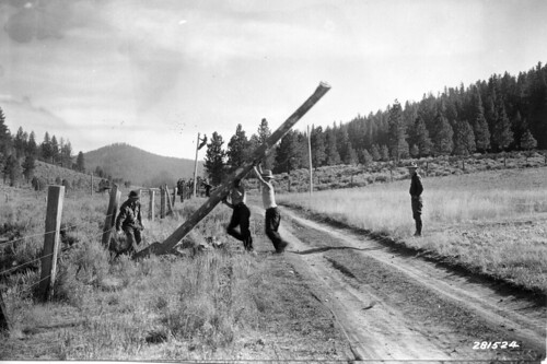 CCC crew erecting telephone line, Fremont National Forest, Oregon