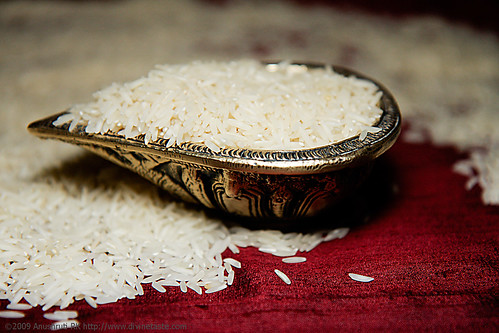 Rice and how to cook the perfect grain of rice