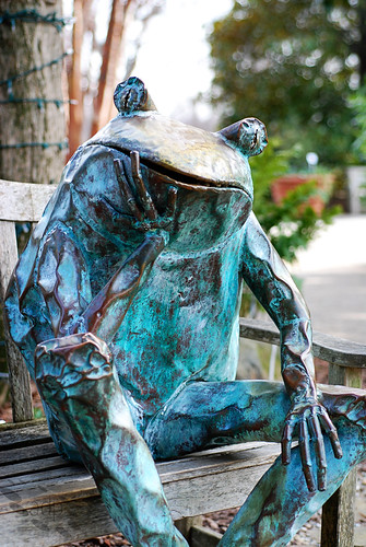 ADP_frog_on_bench[2009]