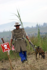 Landmine Clearing Efforts in Democratic Republ...