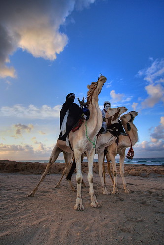 Tuareg, by Mansour Ali