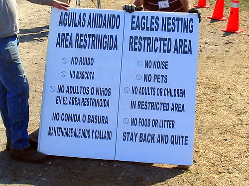 Eagle Sign 20090310