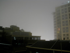 bright foggy night