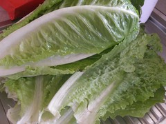 cleaned garden lettuce