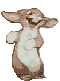 rabbits_002