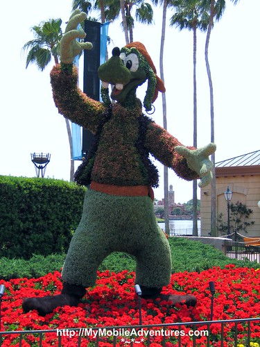 IMG_4263-Pirate-Goofy-Topiary