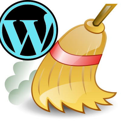 cleaning wp