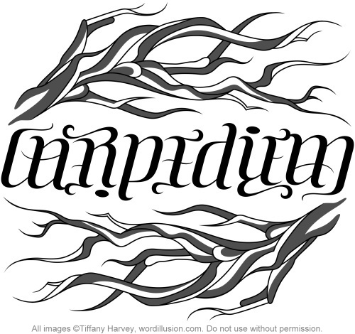 A custom ambigram of the words "Carpe Diem", created for a tattoo design.