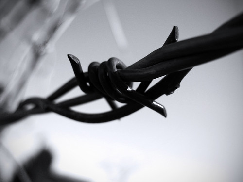 Barbed Wire:  January 7, 2009