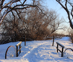 Snowy Path by gfpeck, on Flickr