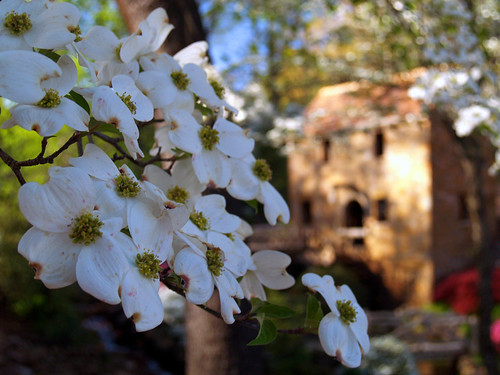 Spring at the Old Mill