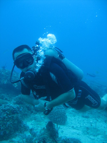 diving photo &amp; video 015