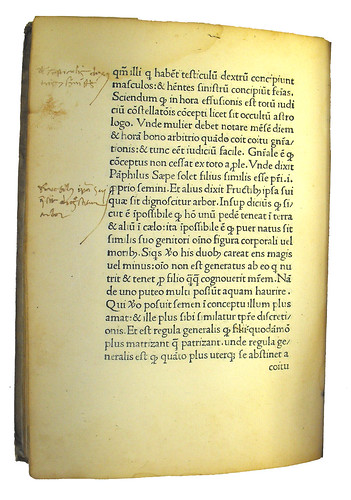Marginal annotations from Michael Scotus: Liber physiognomiae