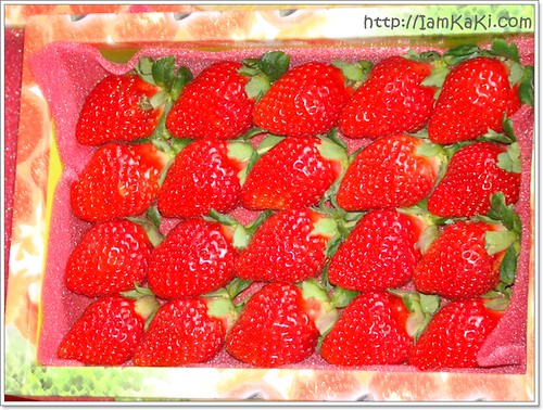 strawberryBOX20
