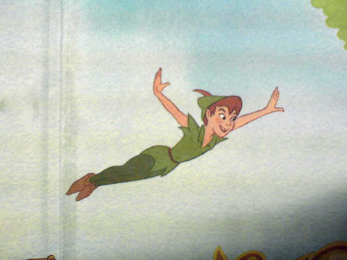 The Disney Peter Pan D