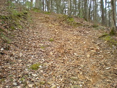 3 - Ridgeway Trail 1