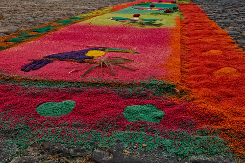 semana santa guatemala alfombras. Semana Santa Guatemala 2009 (Set)