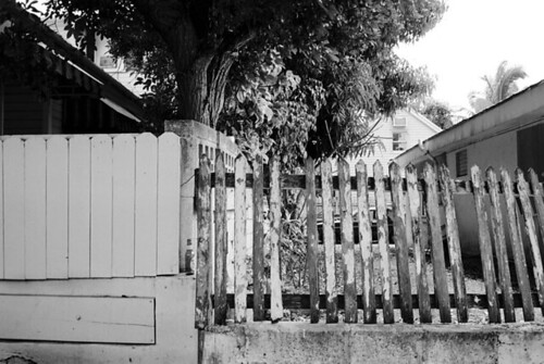 Gray Picket Fence