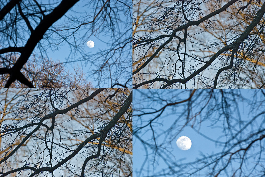Moon Montage