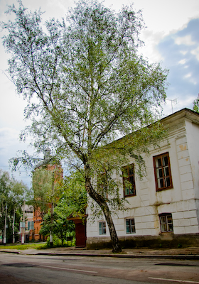 Житомир, улица Пушкинская