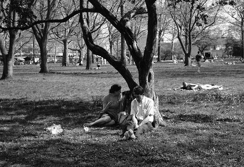 Battery Park‧#3 Love of Old Couple
