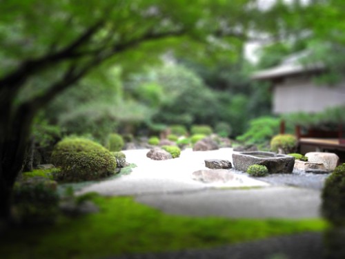 A Japanese garden 2