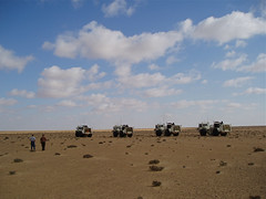 Like tap dancers on a sea of sand. The choreography of 4 trucks moving accurately and in harmony to different zigzagging positions, spaced exactly 25m apart, is beautiful to watch. The tremors under your feet are a strange feeling too.</p>
<p>(On expedition, exploring for oil & gas.)