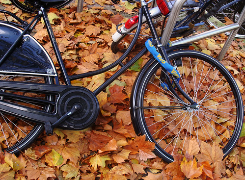 Bicicleta no outono em Amsterdam