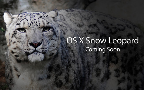 snow leopard wallpaper hd. OS X Snow Leopard - Special